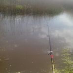 Grot