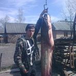Sivka