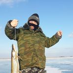 zander371